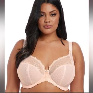 Elomi Blush Lace Underwire Bra NWT